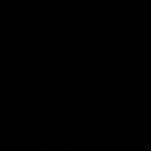 Meet your Posher, Ozobiani